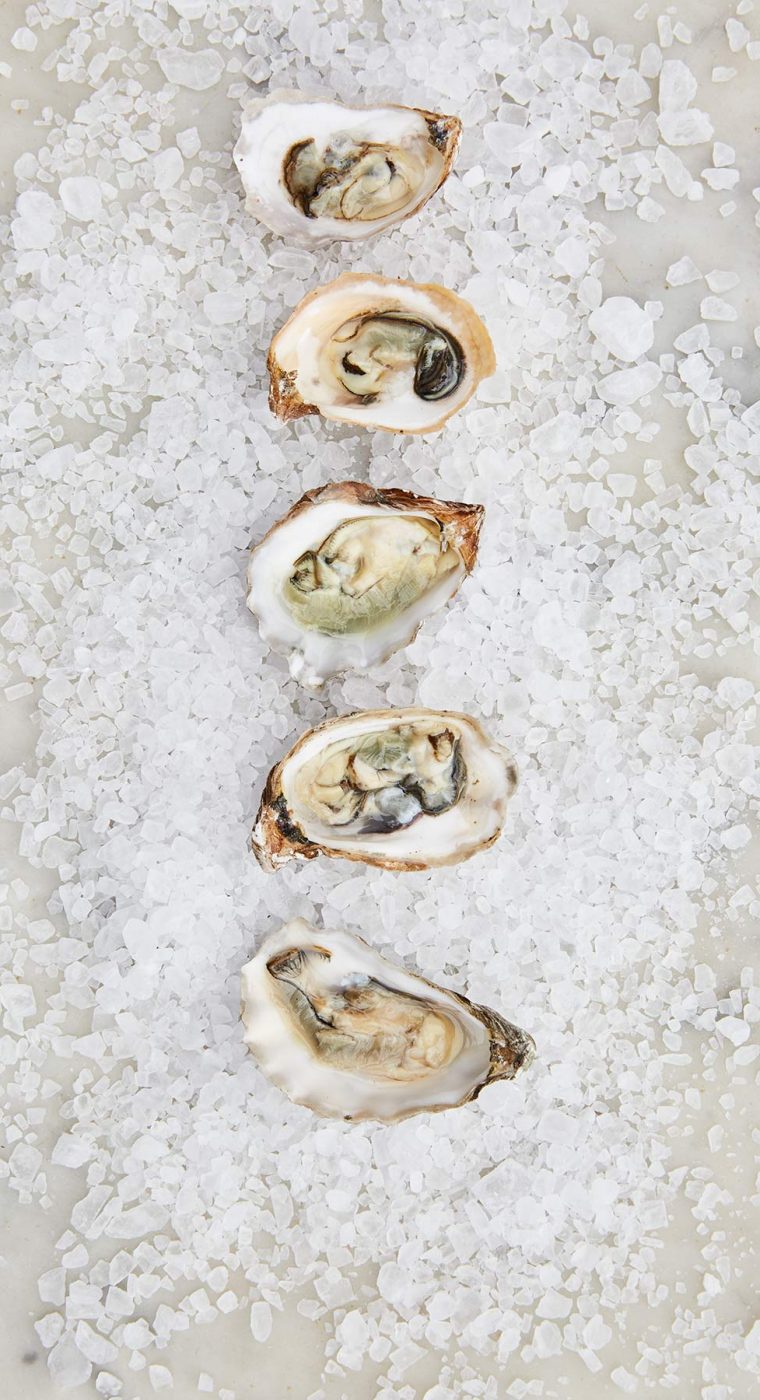 Canal Oysters on sea salt