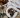 Caprese Salad | Patrick Nied Photography Caprese Salad | Patrick Nied Photography
